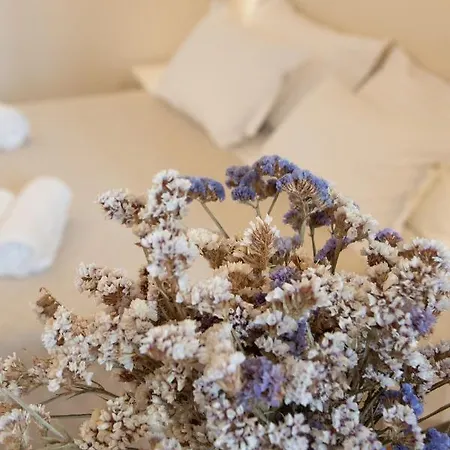 Apartment Dimore Storiche Casalnuovo Conversano