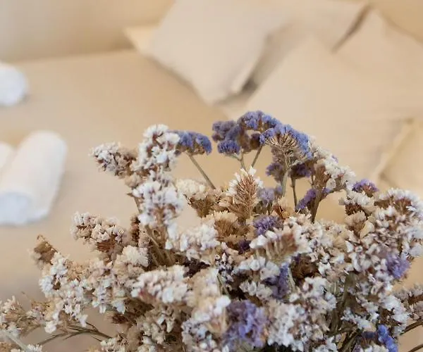 公寓 Dimore Storiche Casalnuovo 孔韦尔萨诺